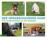 Der herabschauende Hund Kein Autor Taschenbuch 