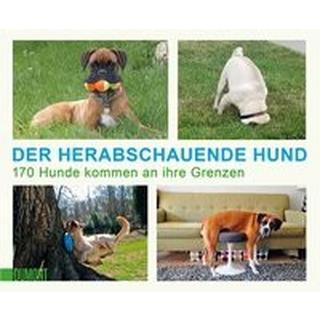 Der herabschauende Hund Kein Autor Taschenbuch 