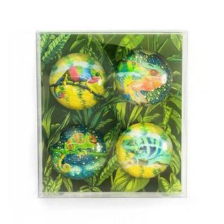 trendform EYE-Magnete CHAMELEON 4er Set  