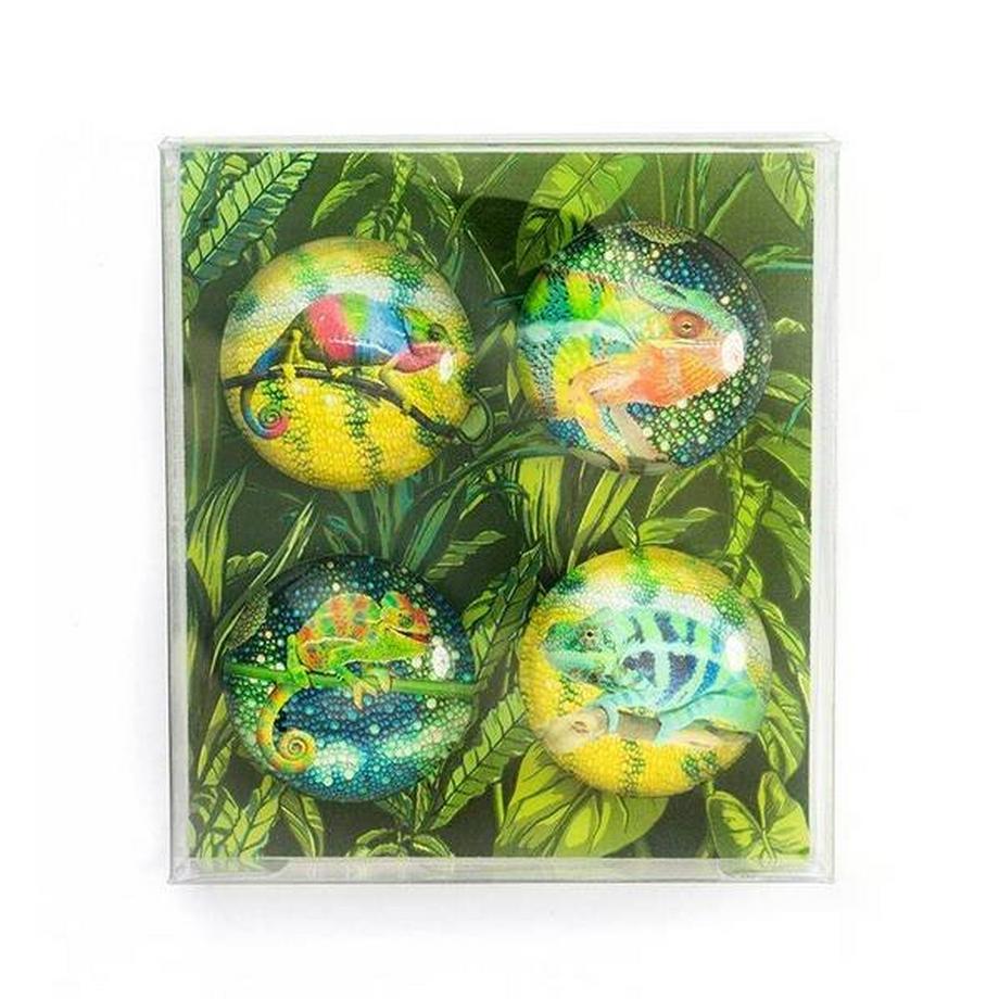trendform EYE-Magnete CHAMELEON 4er Set  