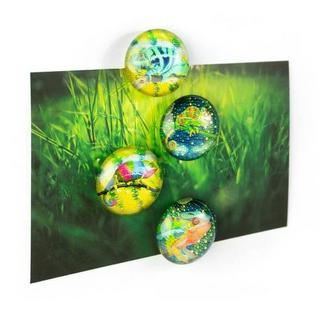 trendform EYE-Magnete CHAMELEON 4er Set  