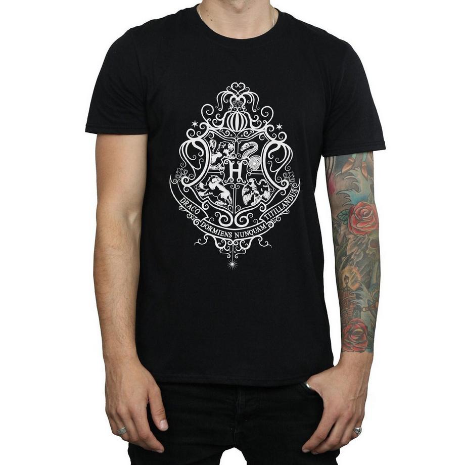 Harry Potter Hogwarts Draco Dormiens T-Shirt  