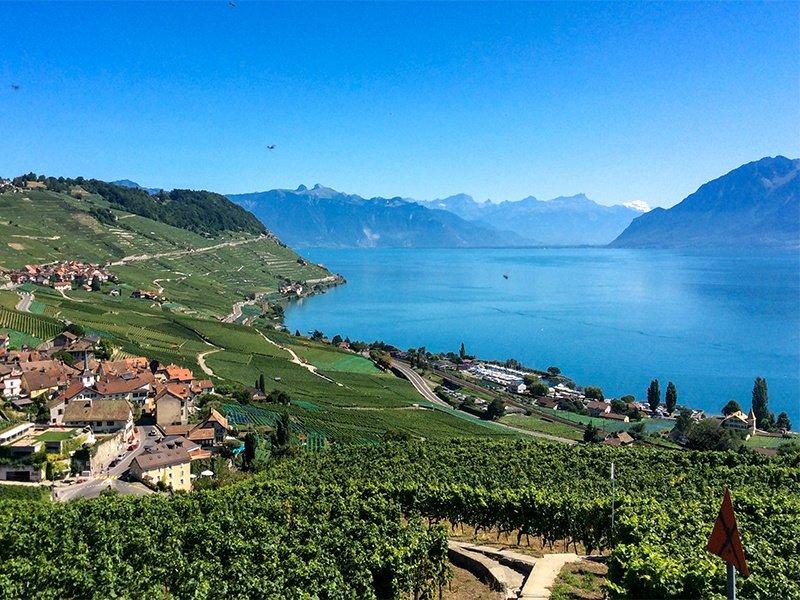 Smartbox  In vino veritas! Kreieren Sie Ihren eigenen Cuvée im Lavaux - Geschenkbox 