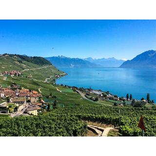 Smartbox  In vino veritas! Kreieren Sie Ihren eigenen Cuvée im Lavaux - Geschenkbox 