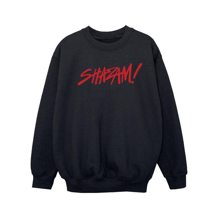 DC COMICS  Fury Of The Gods Sweatshirt 