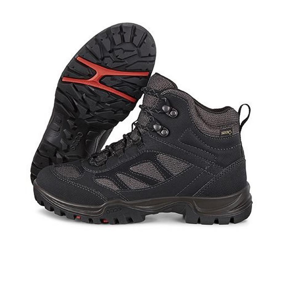 ecco Chaussure de sécurité Xpedition III W Black Mole  