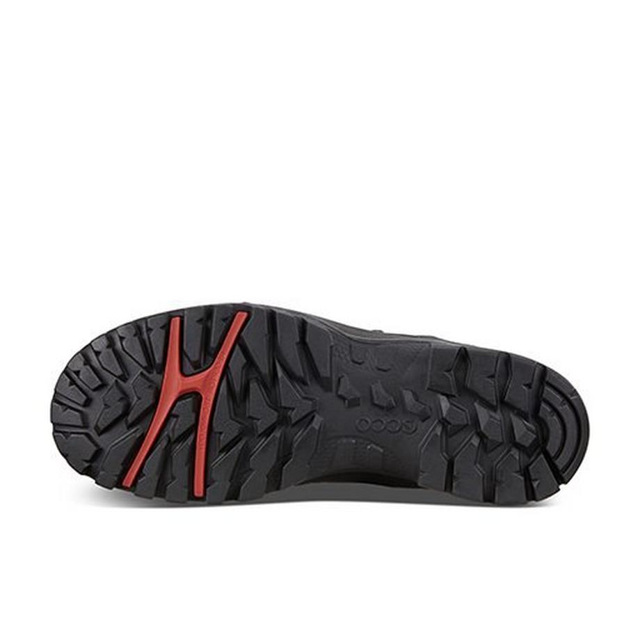 ecco Chaussure de sécurité Xpedition III W Black Mole  