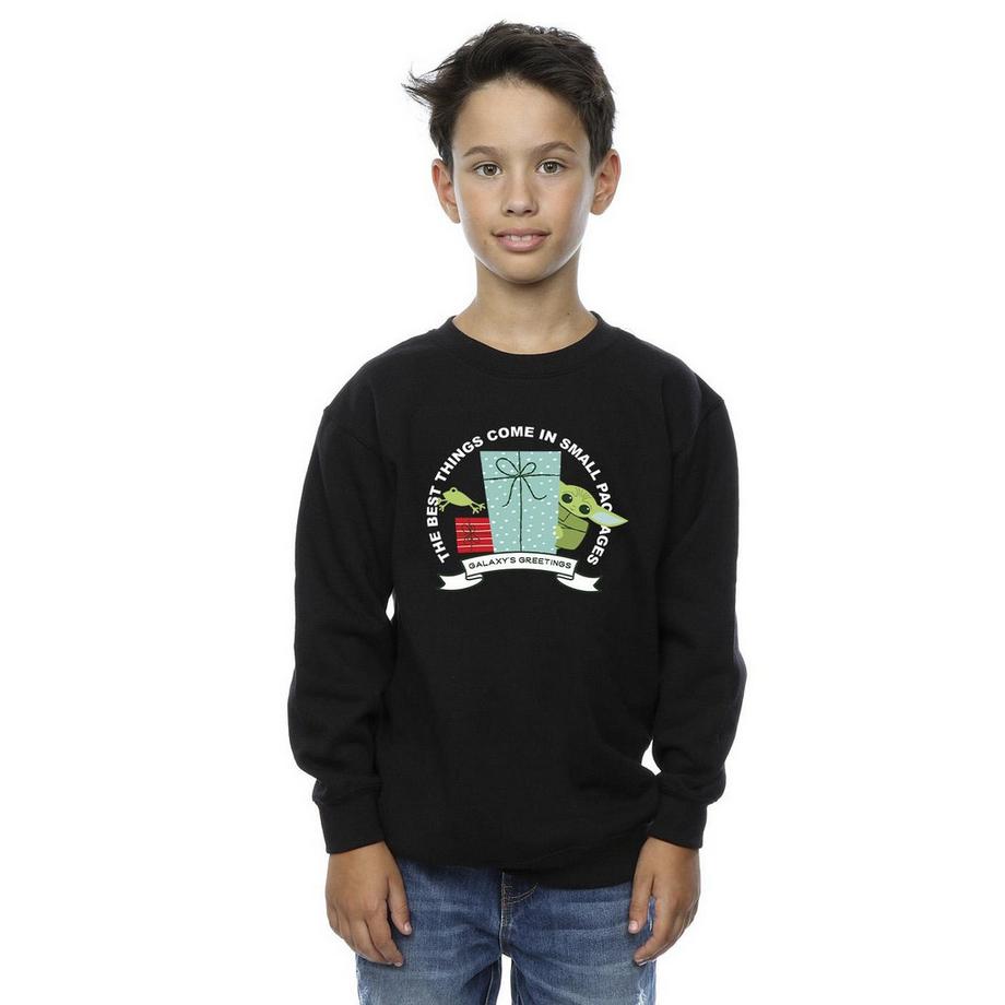STAR WARS  Sweat THE MANDALORIAN GALAXY'S GREETINGS 
