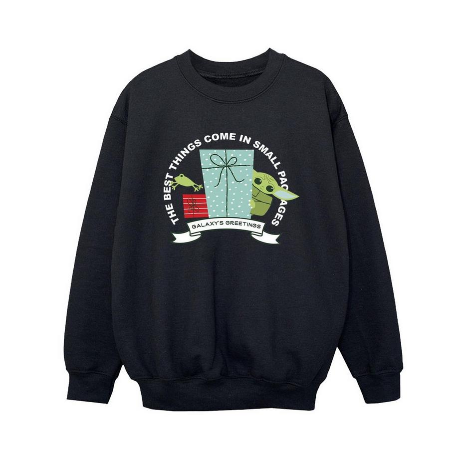 Sweat THE MANDALORIAN GALAXY'S GREETINGS
