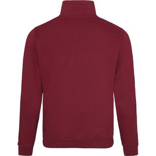 AWDis  Sweatshirt Pullover mit Reißverschluss am Kragen 