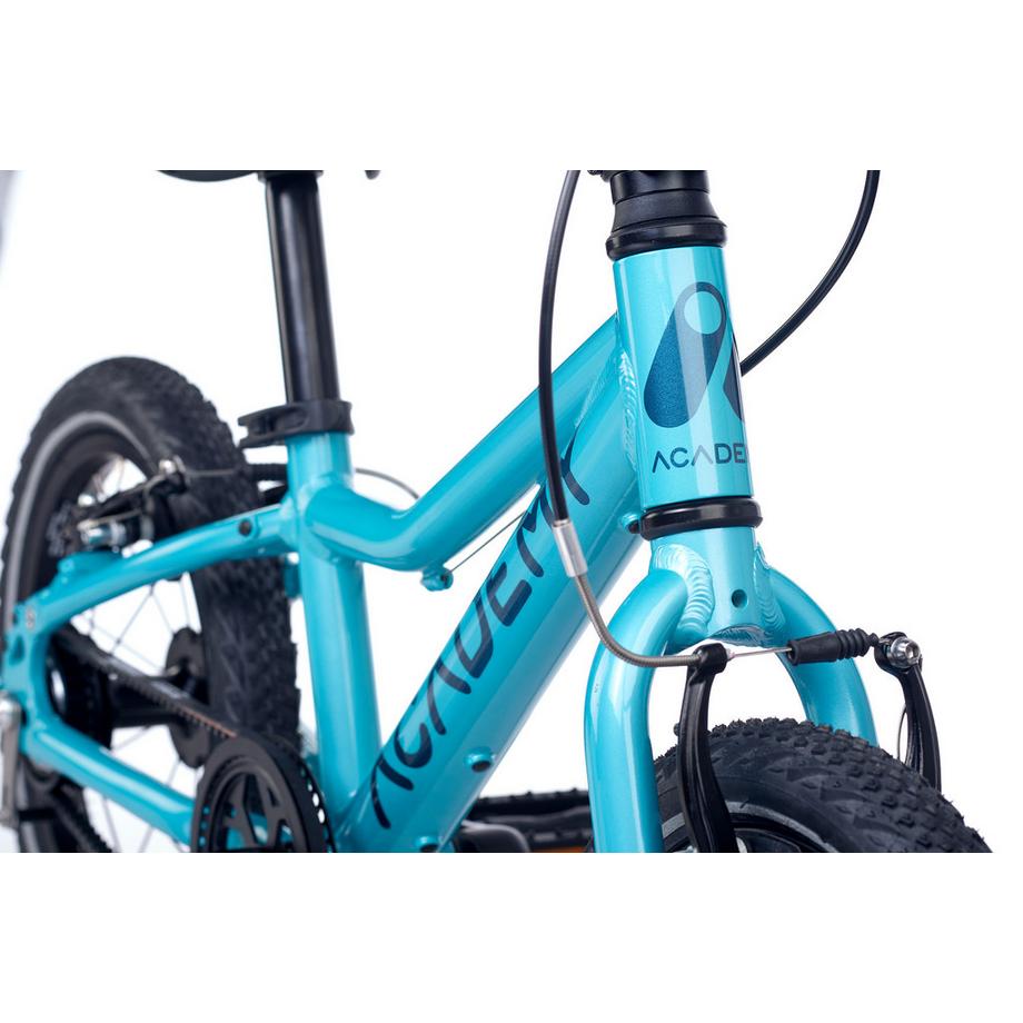 ACADEMY  14" Grade 2 Belt 