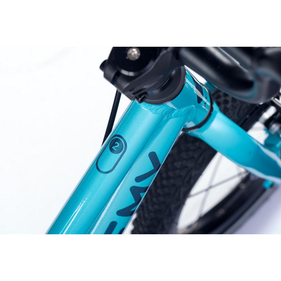 ACADEMY  14" Grade 2 Belt 