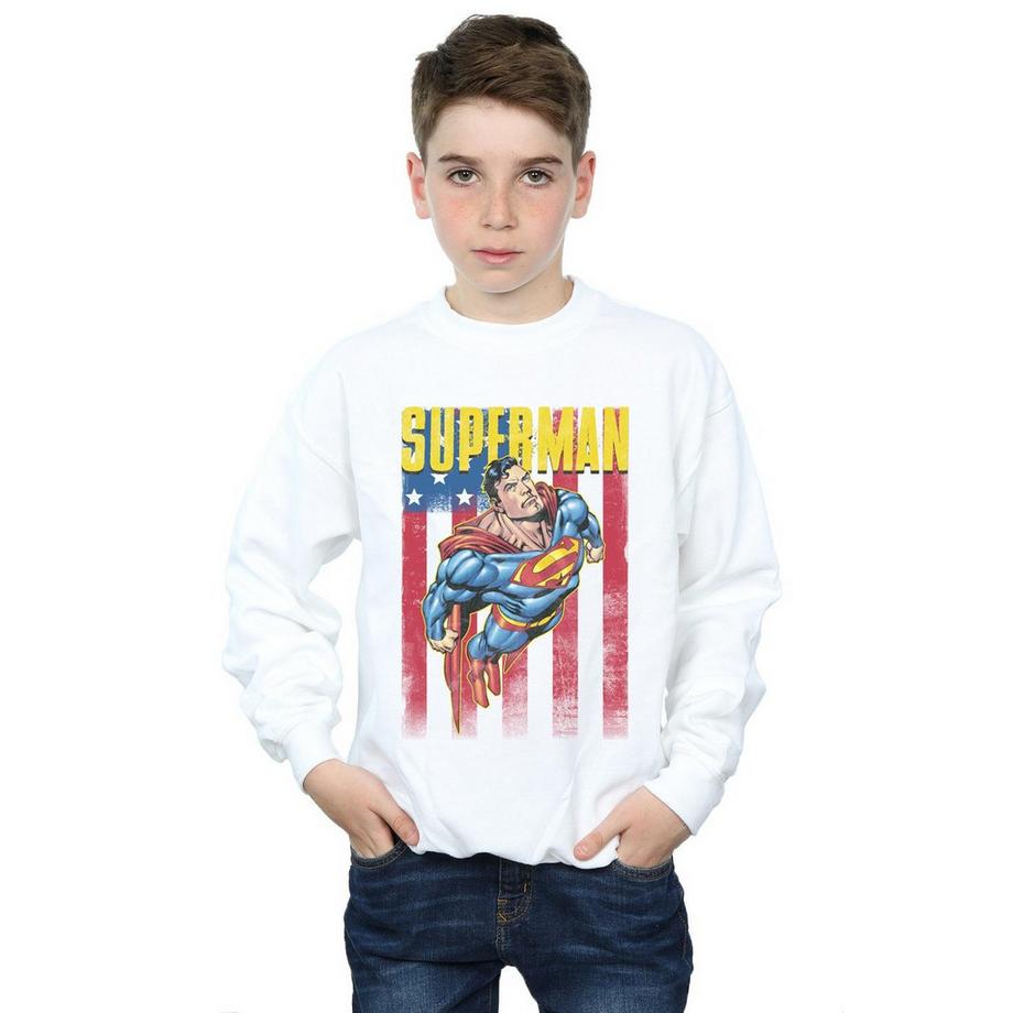 DC COMICS  Sweatshirt 