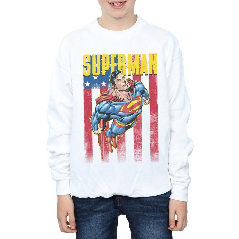 DC COMICS  Sweatshirt 