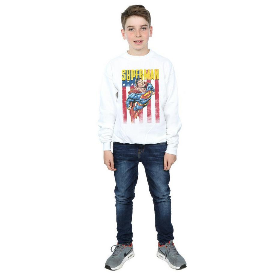 DC COMICS  Sweatshirt 