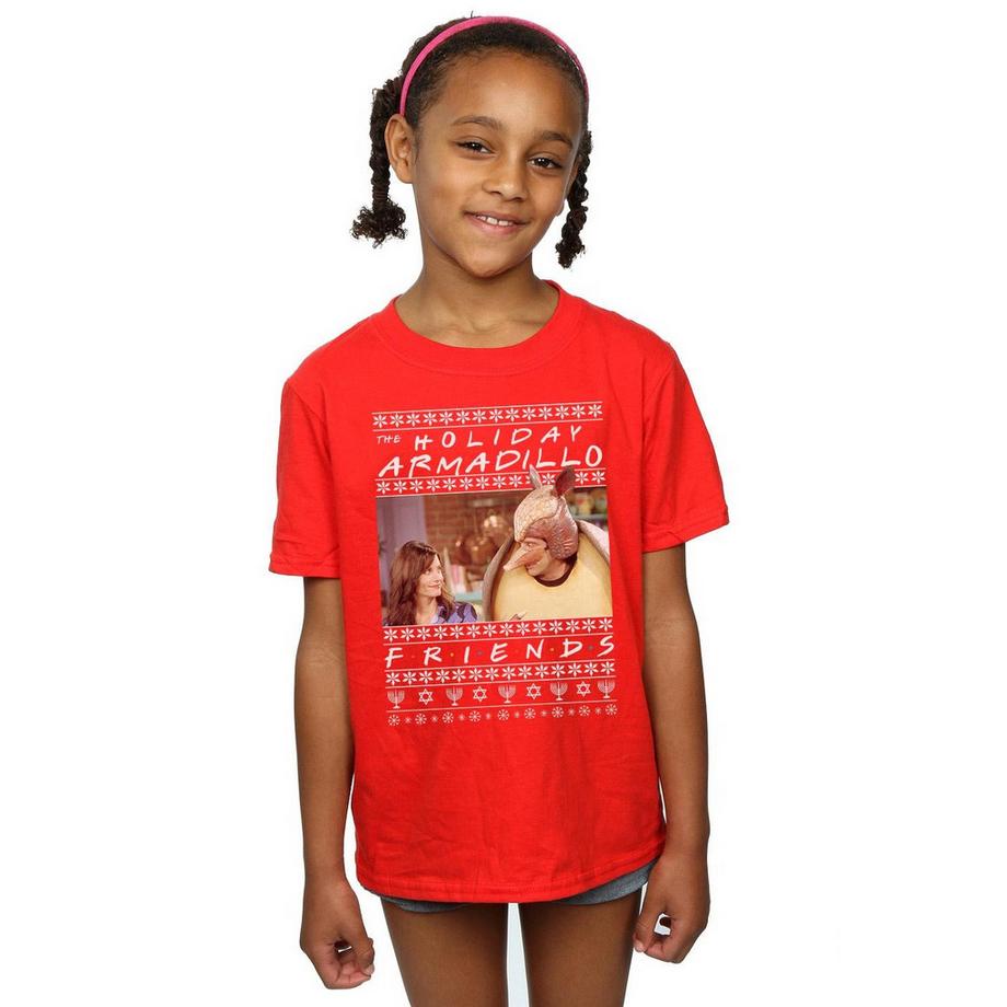 Friends  Holiday Armadillo TShirt 