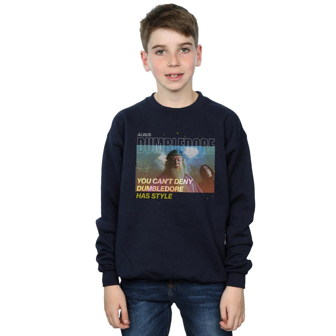 Harry Potter  Style Sweatshirt 