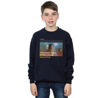 Harry Potter  Style Sweatshirt 