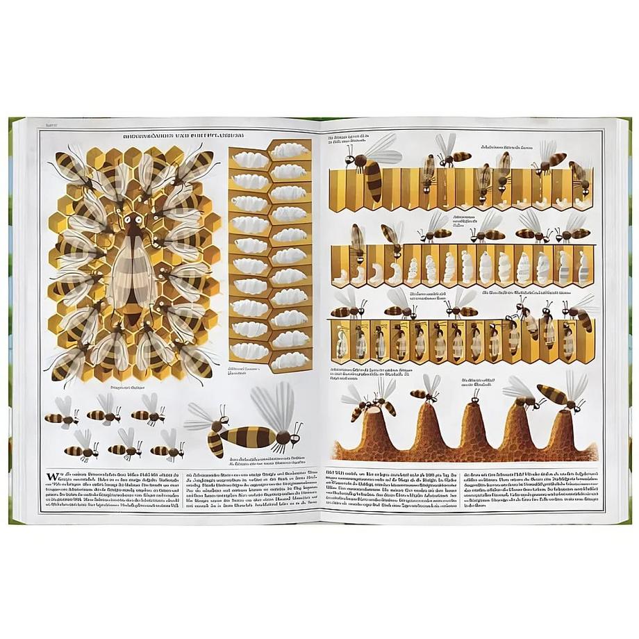 Bienen Socha, Piotr Couverture rigide 