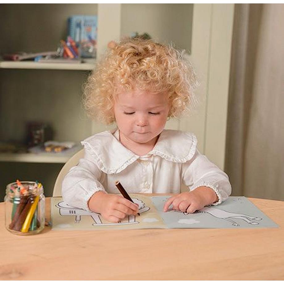 Little Dutch  Ausmalbuch Little Farm 