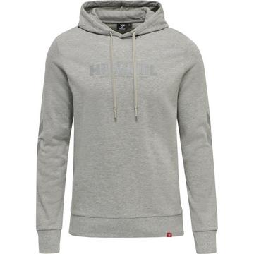 sweatshirt à capuche legacy logo plus