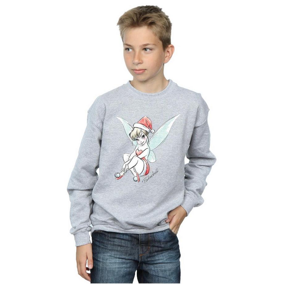 Disney  Fairy Sweatshirt 