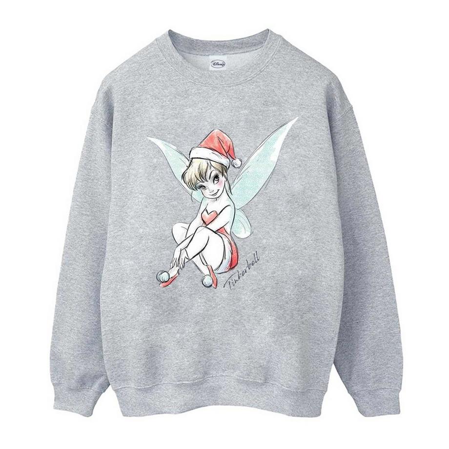 Disney  Fairy Sweatshirt 