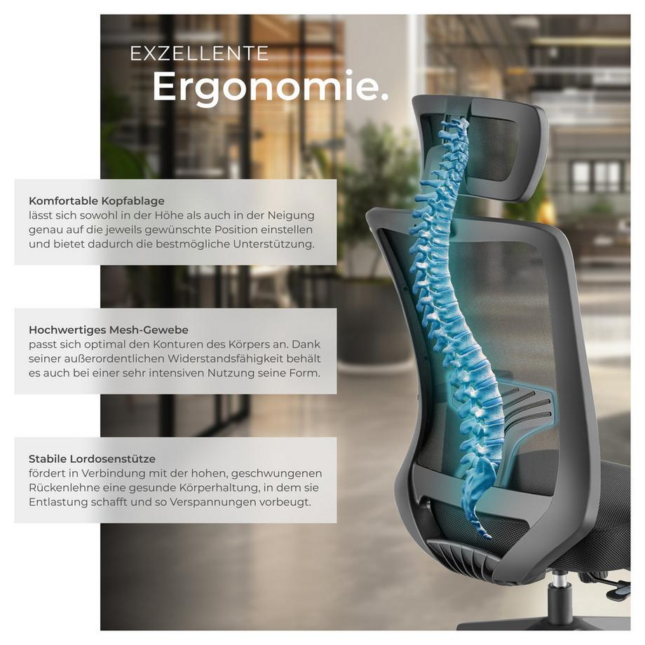 Tectake Bürostuhl Phoibe ergonomische Form mit Lordosenstütze und verstellbarer Kopfstütze dicke Polsterung  