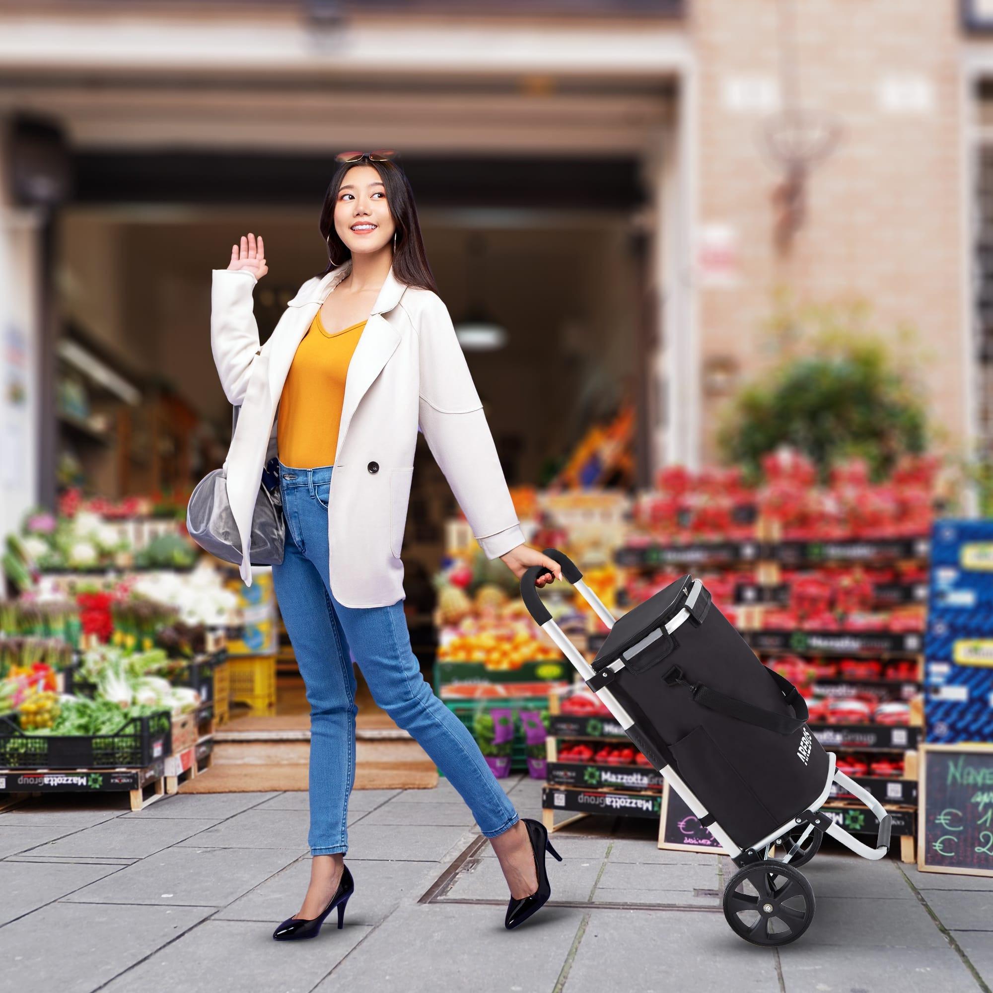 Arebos  Carrello della spesa 3in1 pieghevole Borsa da trasporto 