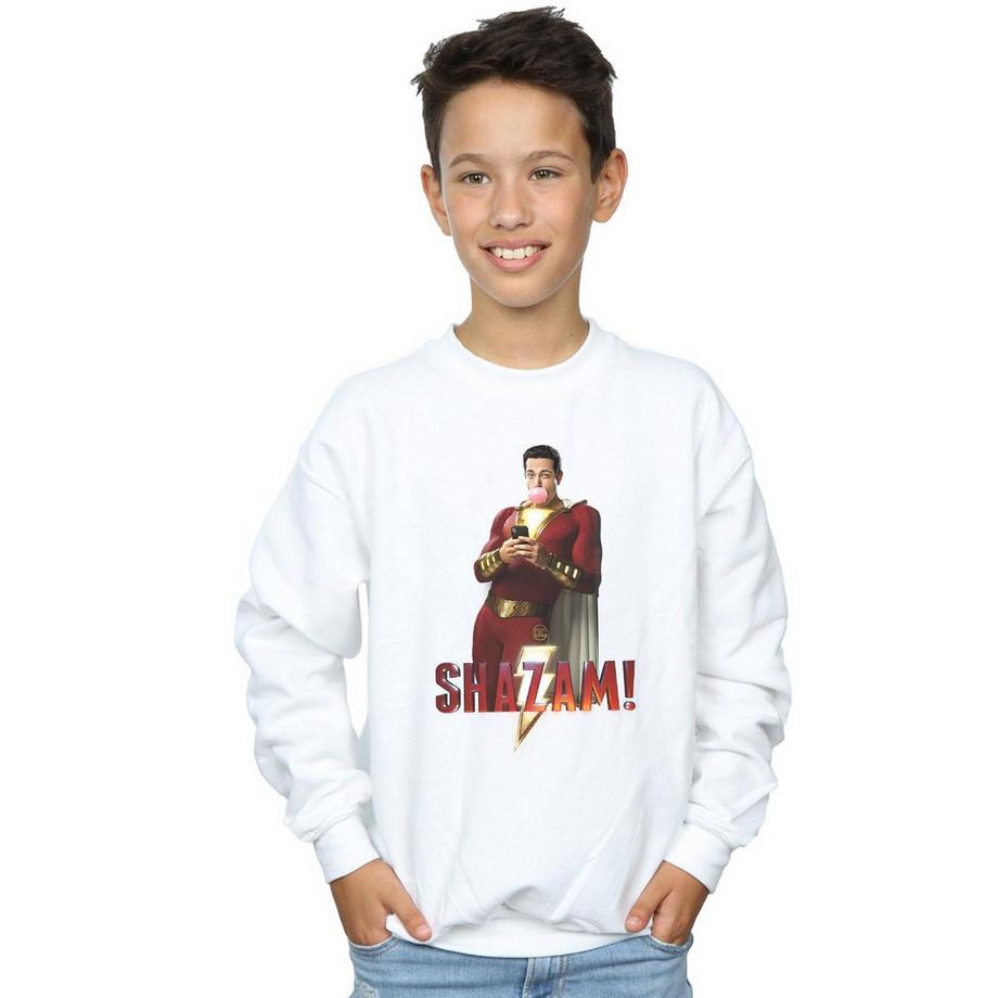 DC COMICS  Sweatshirt 