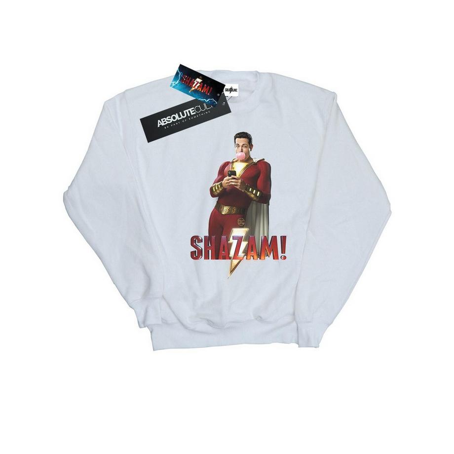 DC COMICS  Sweatshirt 