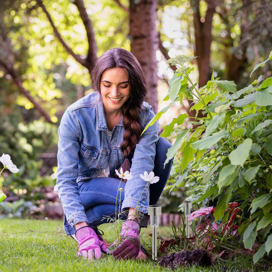 Northix Solarlampen-Set  