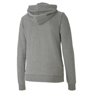 PUMA Team Goal 23 Hoodie Casual  