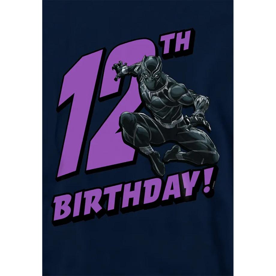 Black Panther  Sweat À Capuche 12ème Anniversaire 