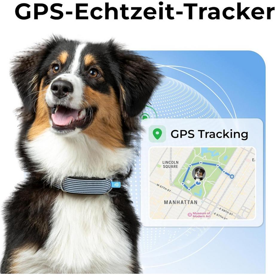 Invoxia  Traceur de santé & GPS, 1J. Abo Bundle 