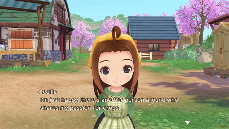 Marvelous  Story of Seasons: A Wonderful Life 