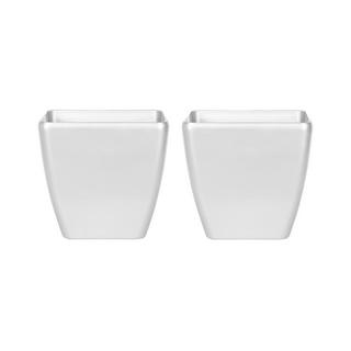 Beliani Lot de 2 pots de fleurs en Fibre d'argile Moderne ASTRAS  