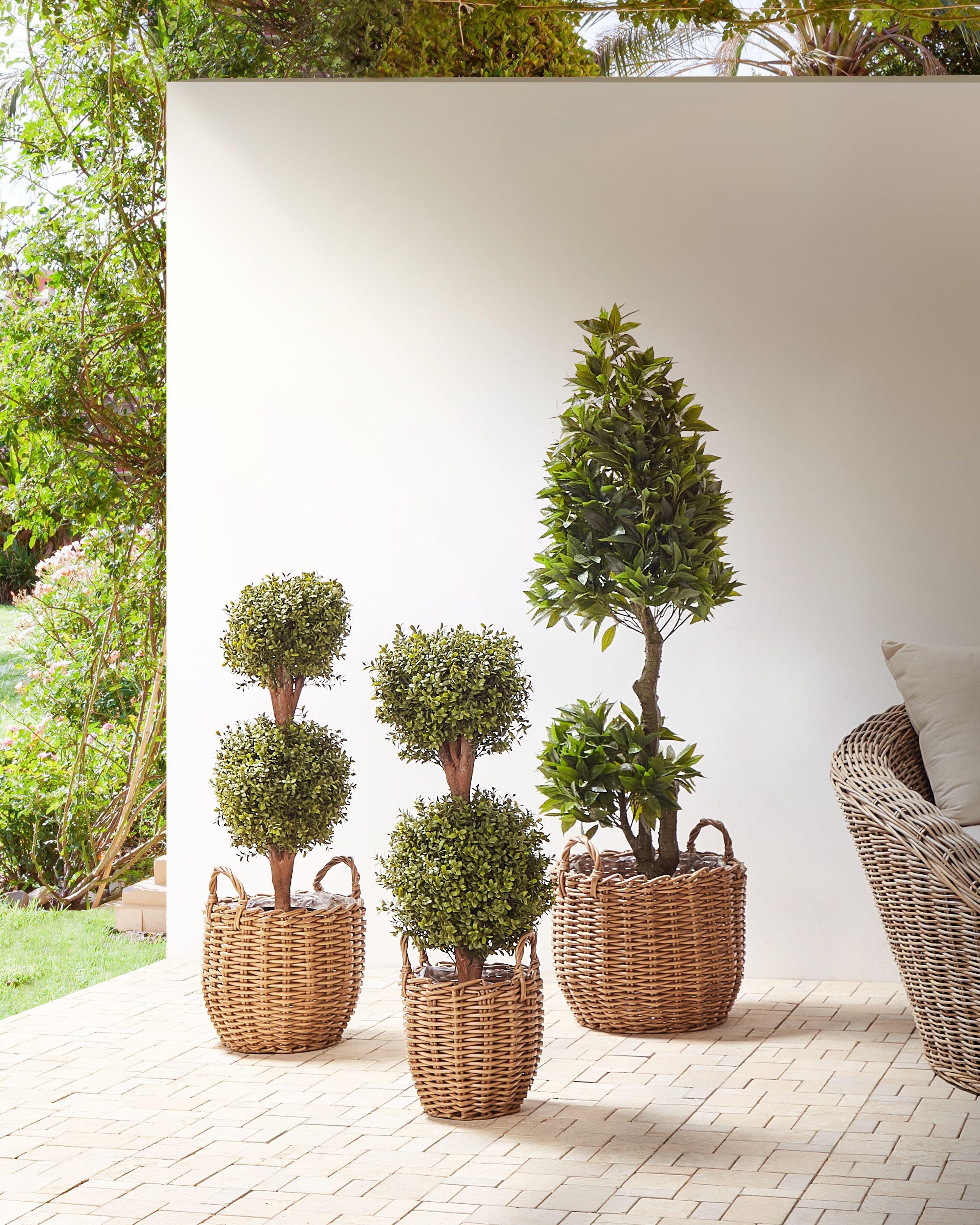 Beliani Lot de 3 pots de fleurs en Polyrotin Rustique AUCUBA  