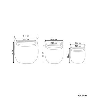 Beliani Lot de 3 pots de fleurs en Polyrotin Rustique AUCUBA  