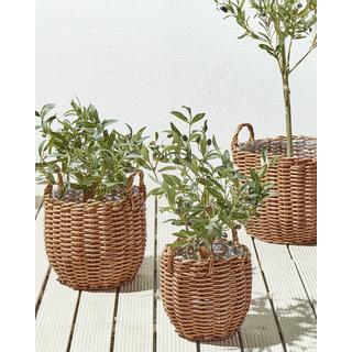 Beliani Lot de 3 pots de fleurs en Polyrotin Rustique AUCUBA  