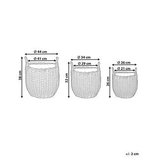 Beliani Lot de 3 pots de fleurs en Polyrotin Rustique AUCUBA  