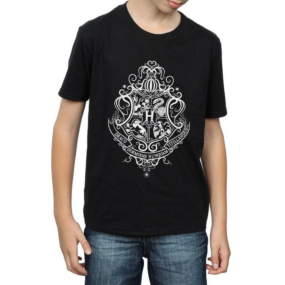 HARRY-POTTER  Tshirt HOGWARTS DRACO DORMIENS 