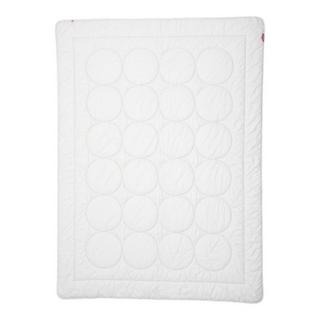 Zizzz Ganzjahres Duvet Wolle (Swisswool)  