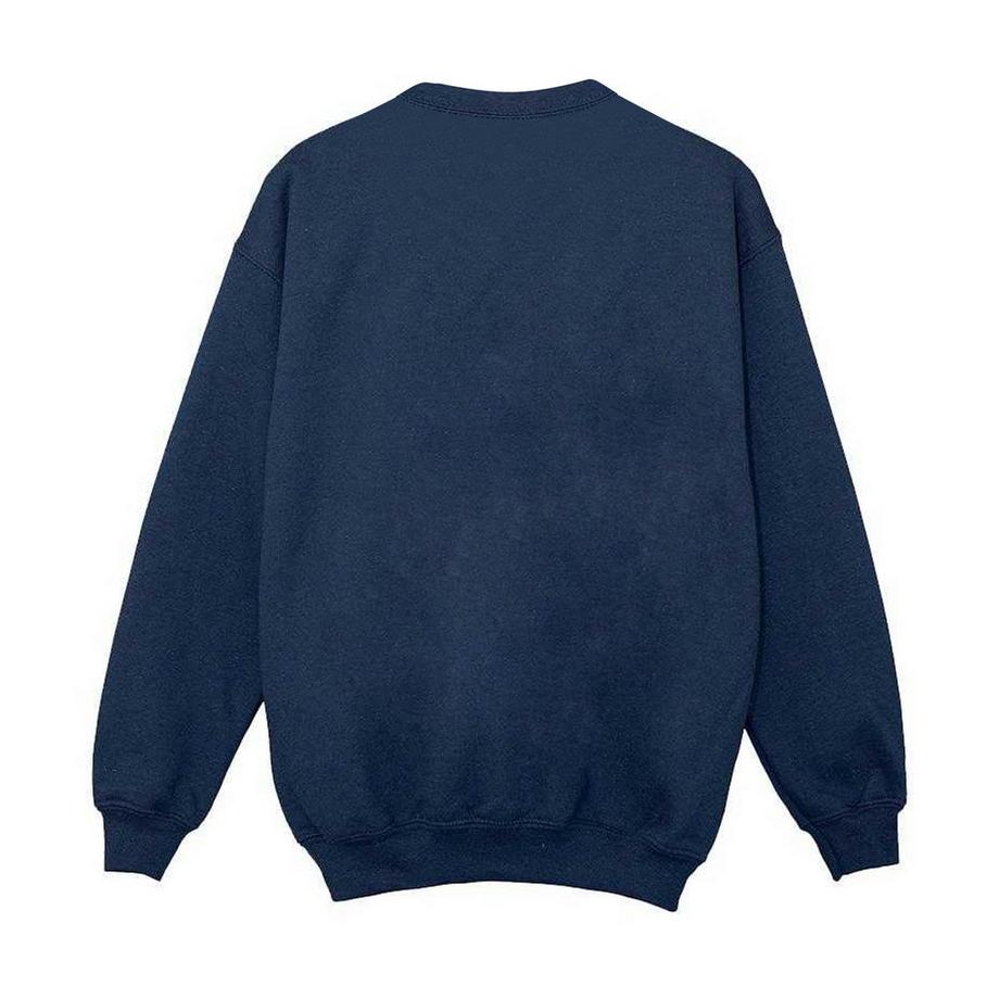 Harry Potter  Sweat Motityle Emblème De Poudlard 