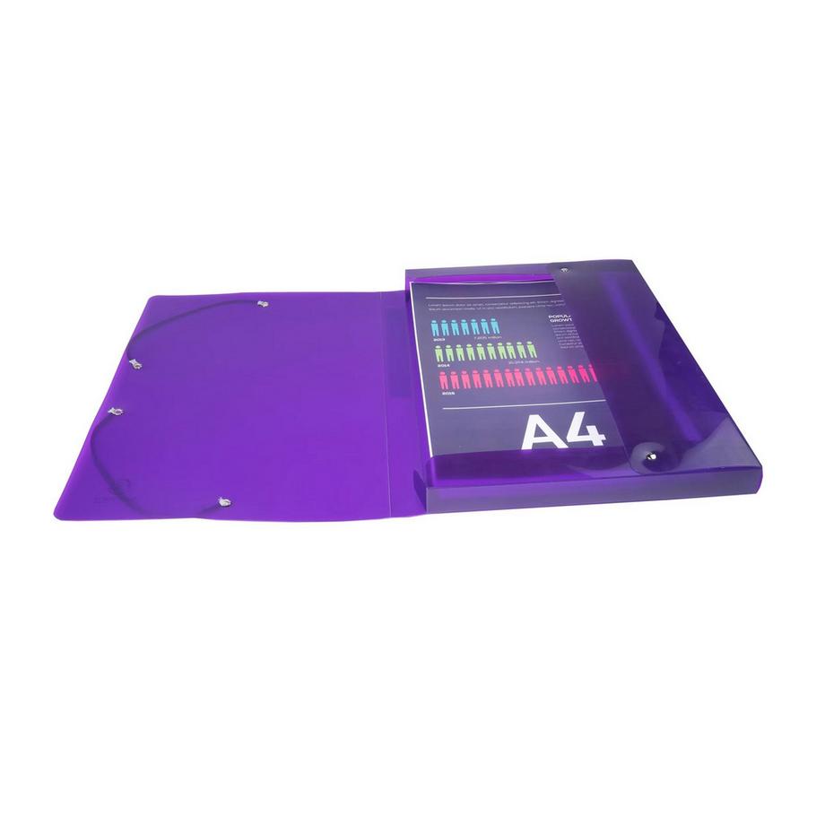 Exacompta Boite de classement en polypropylène Dos 25mm Iderama PP - A4 - x 4  