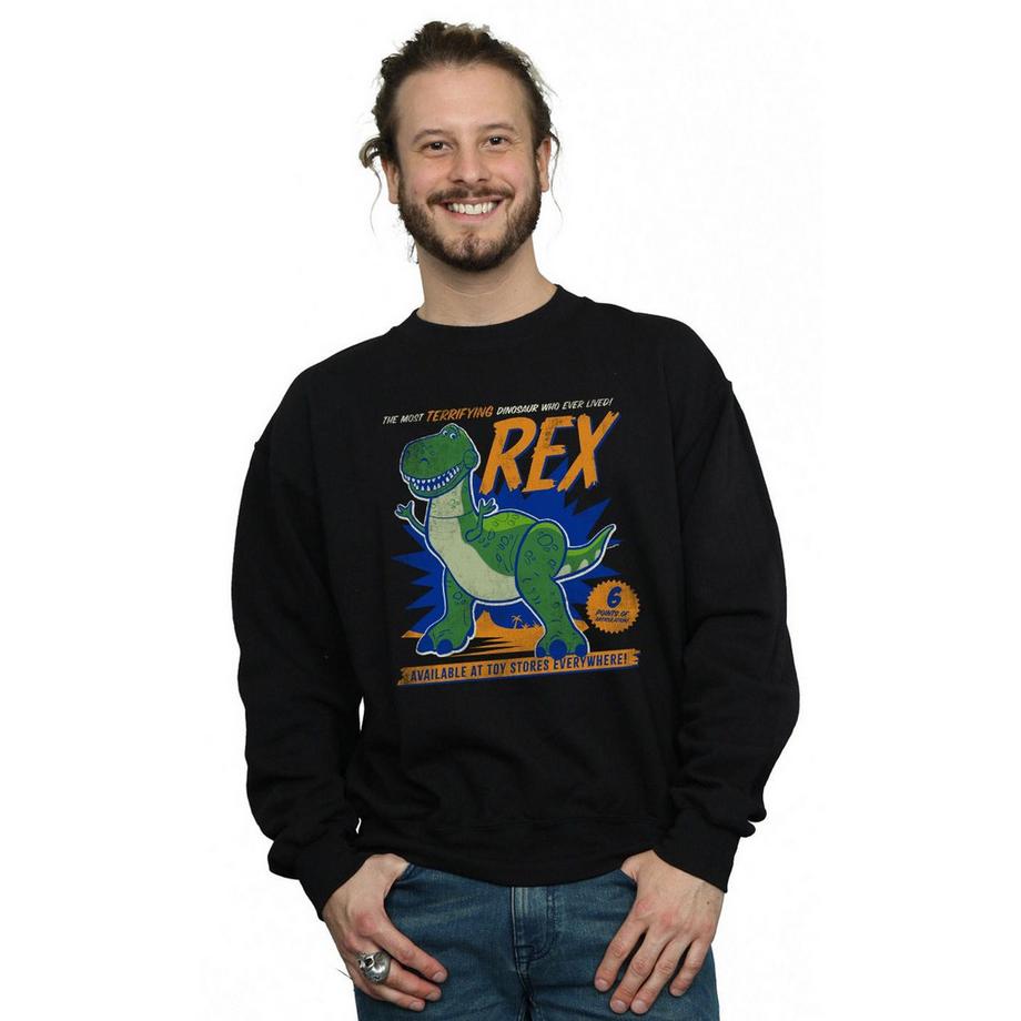 Disney Toy Story 4 Rex Sweatshirt  