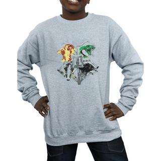 Harry Potter  Hogwarts Sweatshirt 