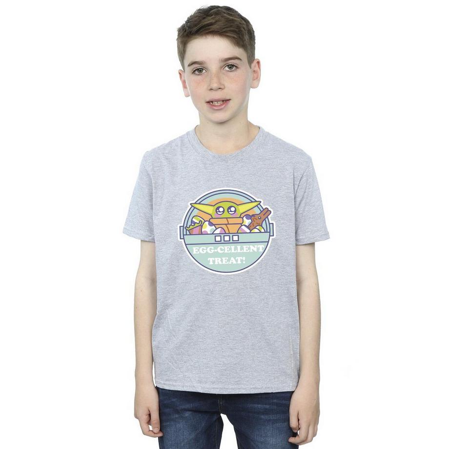STAR WARS  The Mandalorian Eggcellent Easter TShirt 