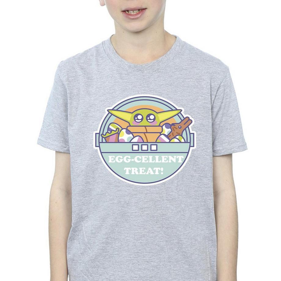 STAR WARS  The Mandalorian Eggcellent Easter TShirt 
