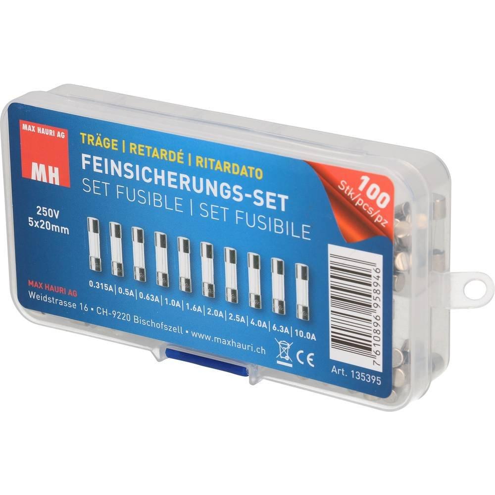 Max Hauri AG  Feinsicherungs-Set 100 teilig 